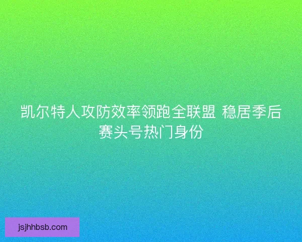 凯尔特人攻防效率领跑全联盟 稳居季后赛头号热门身份